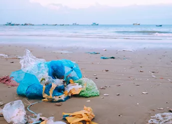 Waste which has been washed up on a beach, polluting the environment.