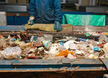 Going through waste on conveyor belt